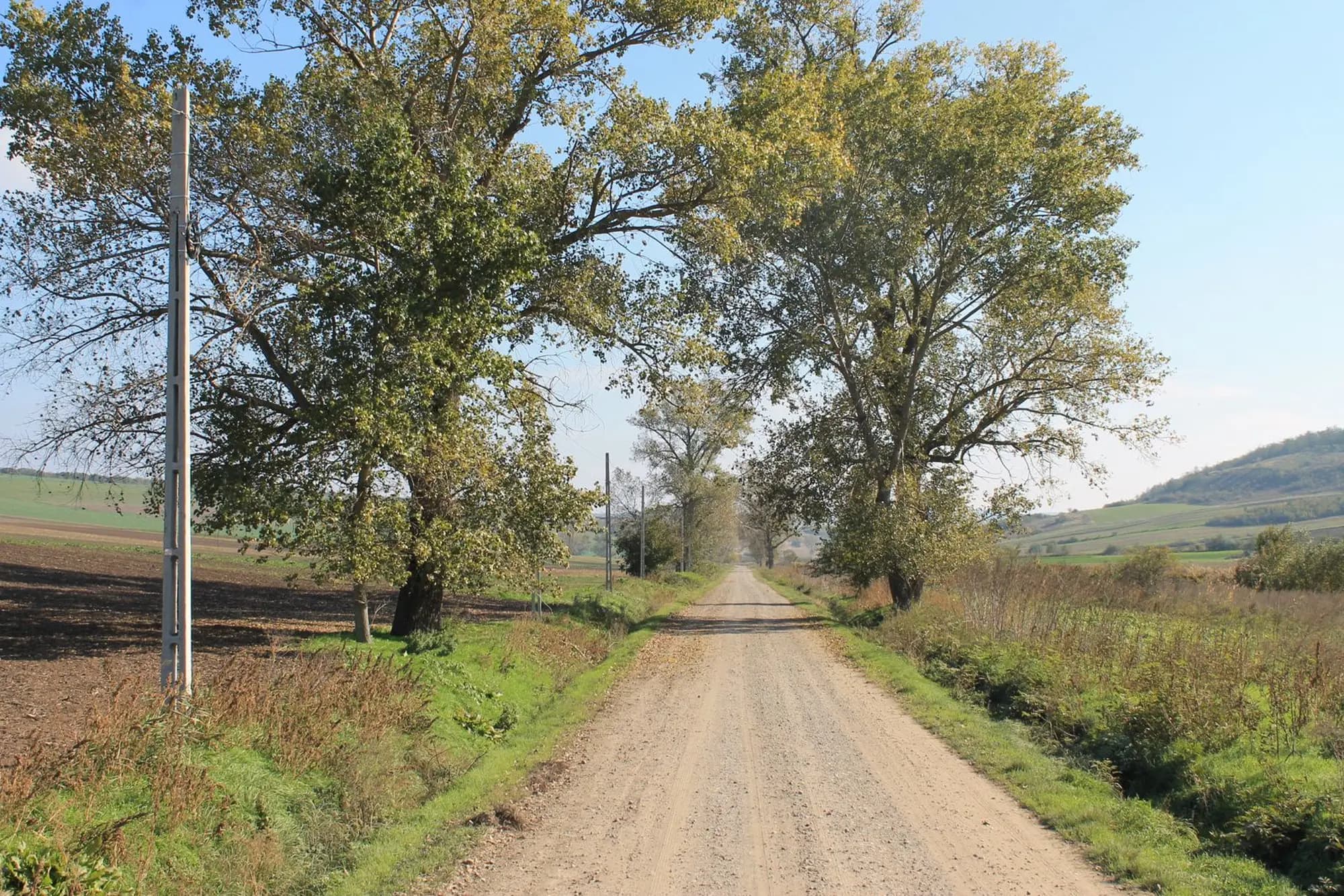 Asfaltare drumul local 100, Voinesti - imagine 2